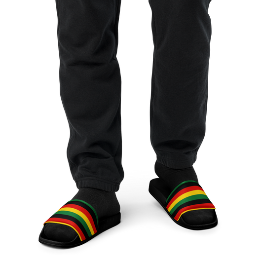 REGGAE RASTA SLIDES