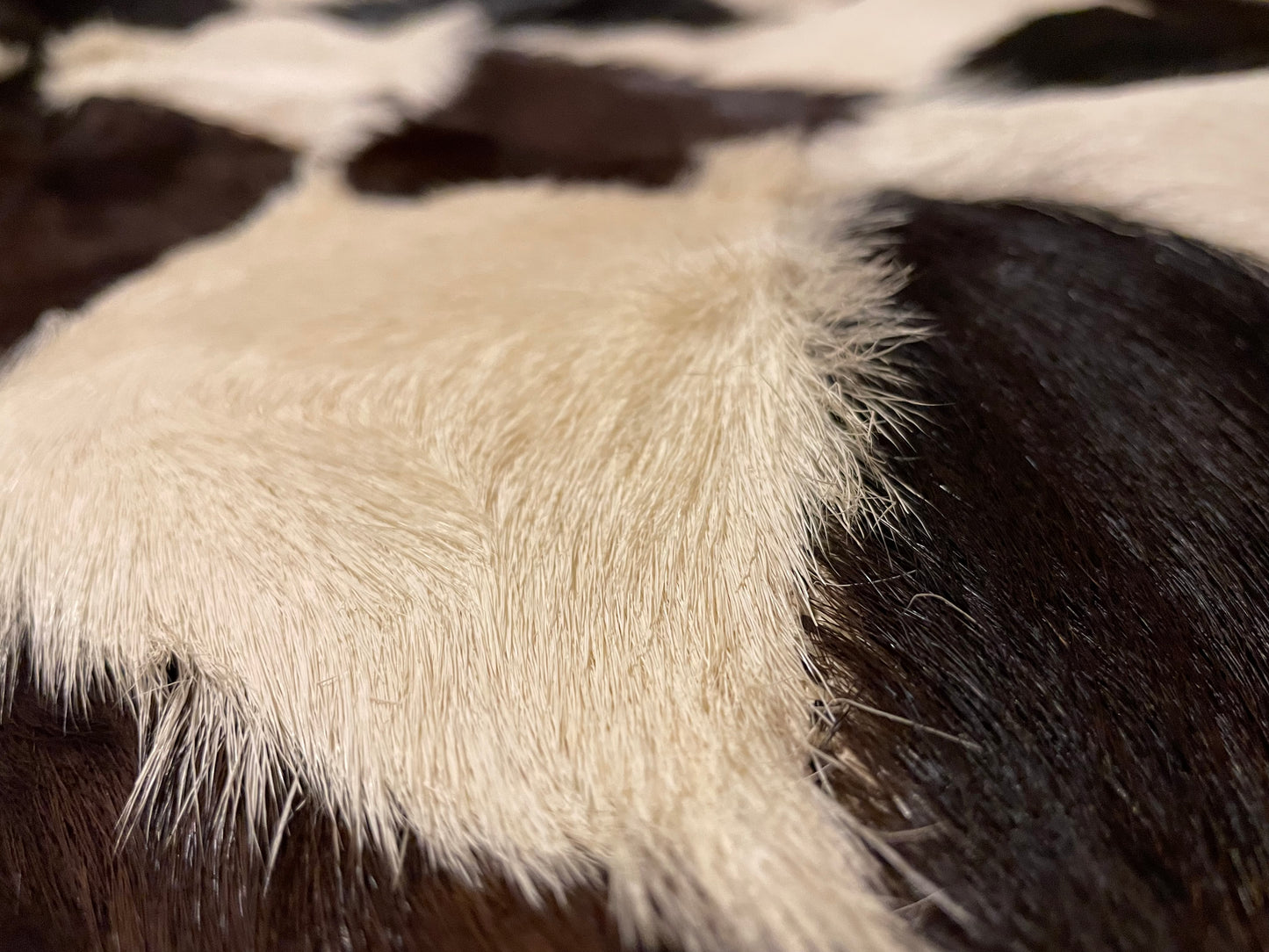 COWHIDE RUG (6)